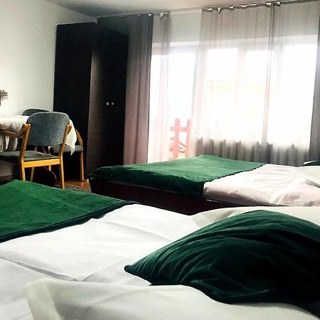 Apartament Sarco Villa Vatra Dornei Dış mekan fotoğraf