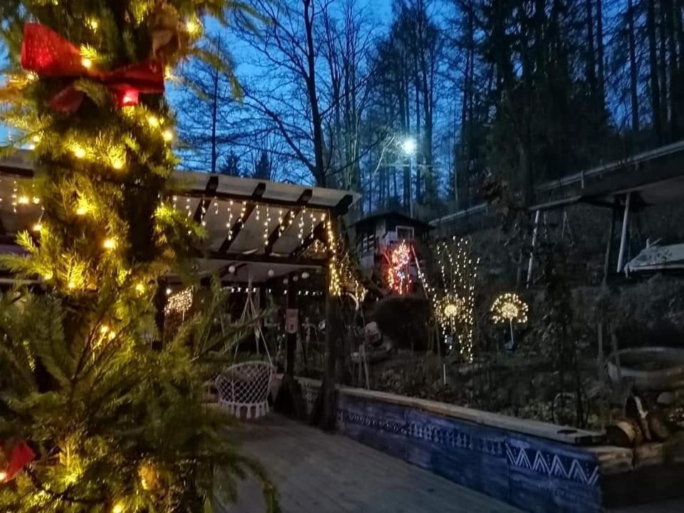Apartament Sarco Villa Vatra Dornei Dış mekan fotoğraf