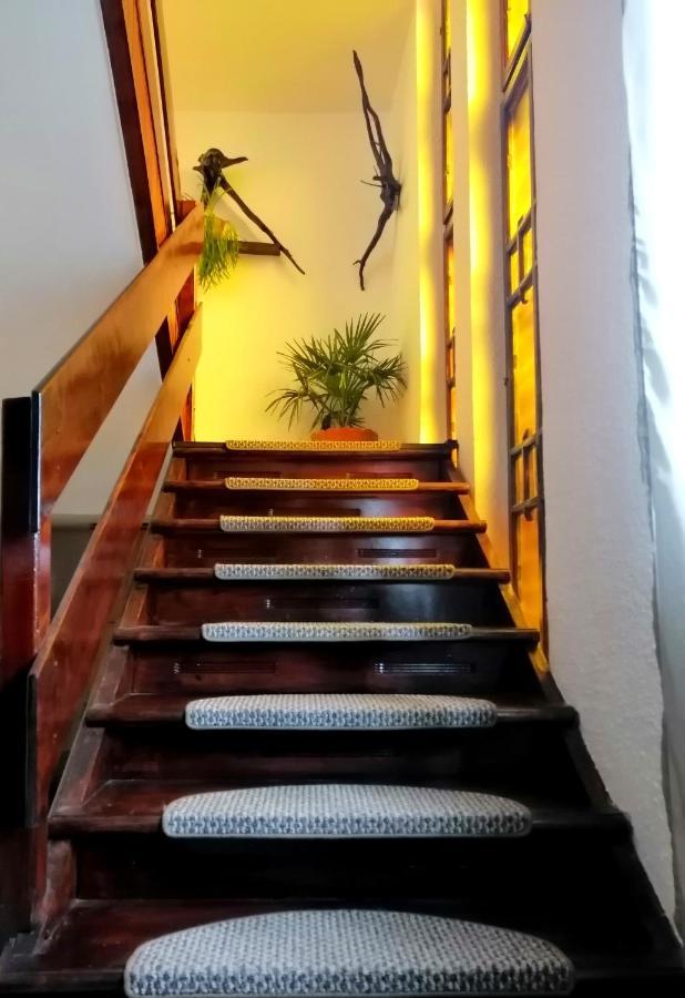 Apartament Sarco Villa Vatra Dornei Dış mekan fotoğraf