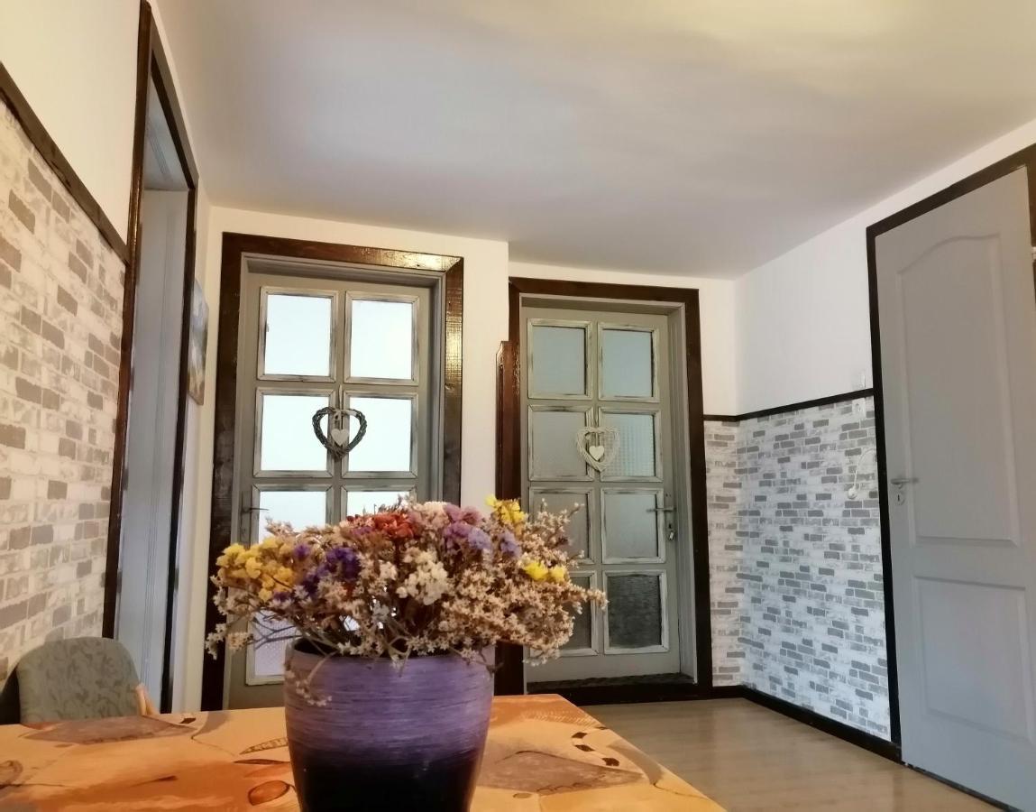 Apartament Sarco Villa Vatra Dornei Dış mekan fotoğraf