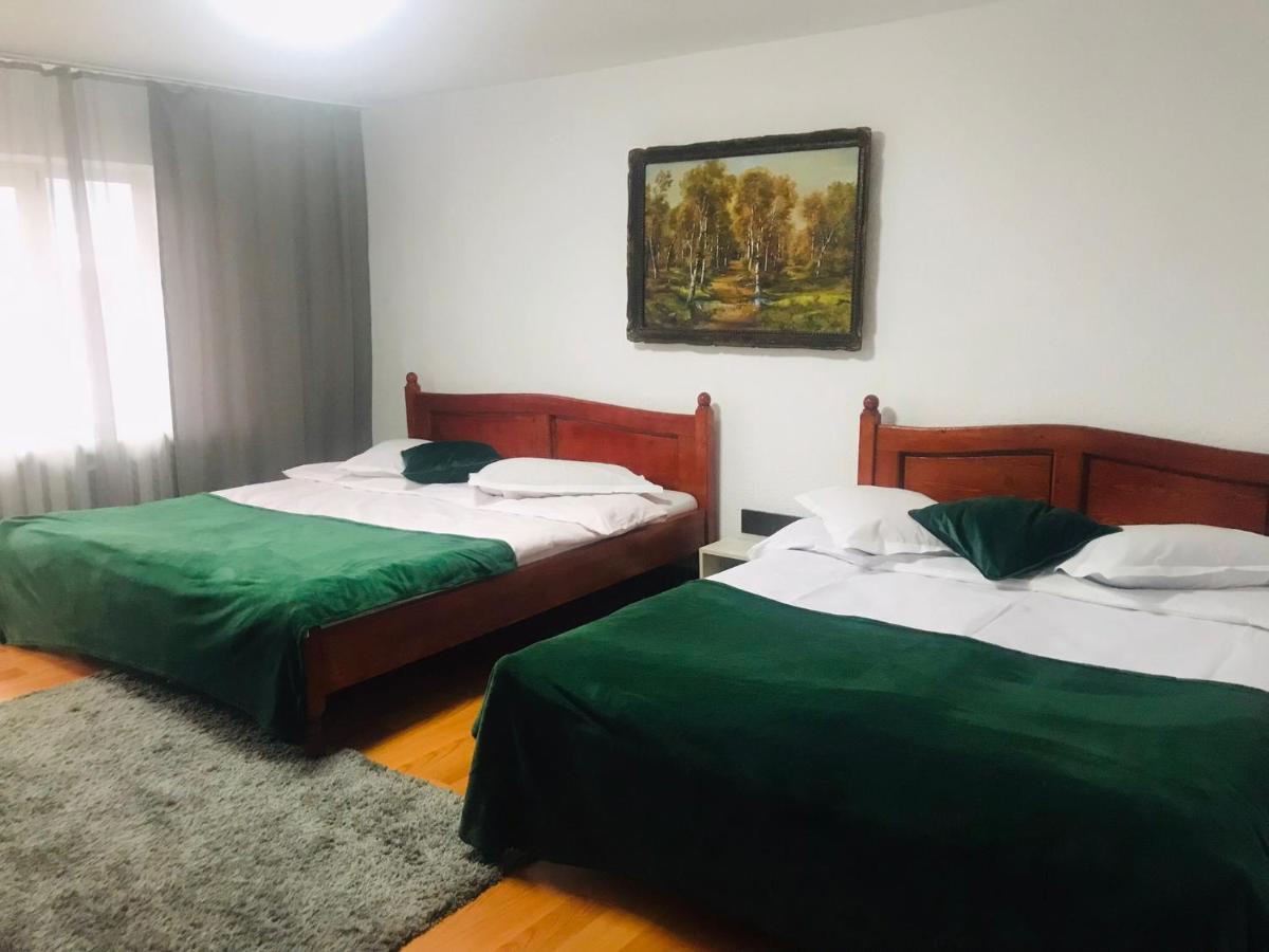 Apartament Sarco Villa Vatra Dornei Dış mekan fotoğraf